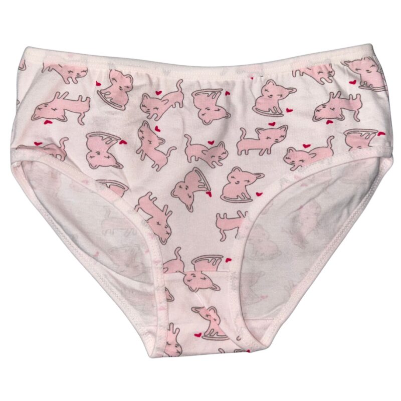 Majtki Dziewczęce Aura.via 3 sztuki 2-3/4-6/7-9/10-12 Lat