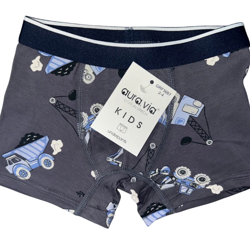 Bokserki chłopięce Aura.Via KIDS bawełna 95% rozmiar 2-4/4-6/6-8 Lat