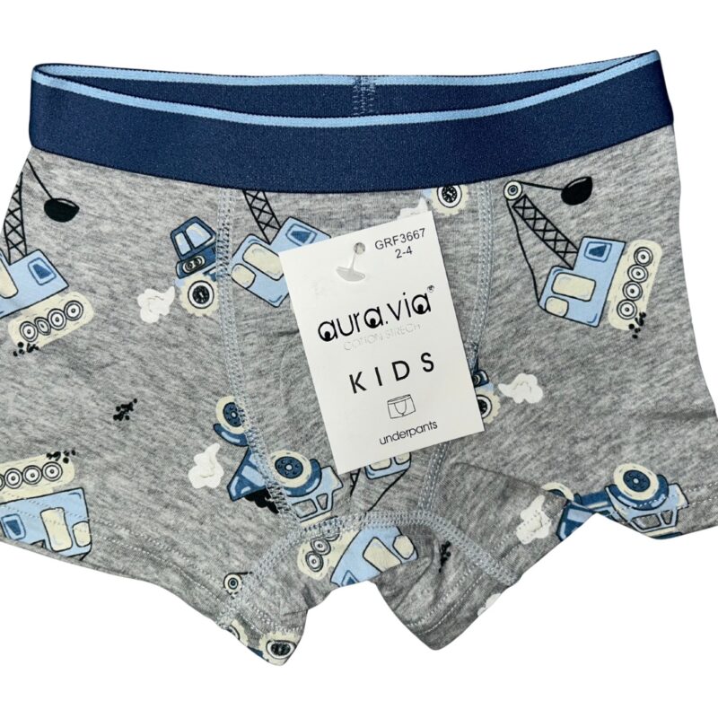 Bokserki chłopięce Aura.Via KIDS bawełna 95% rozmiar 2-4/4-6/6-8 Lat