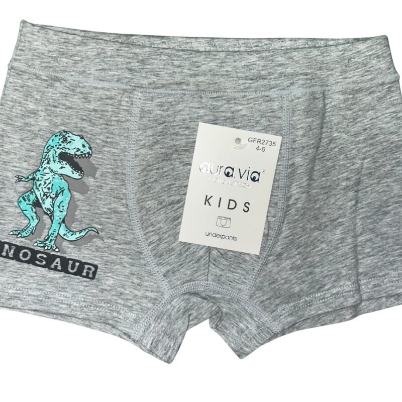 Bokserki chłopięce Aura.Via KIDS bawełna 95% rozmiar 2-4/4-6/6-8 Lat