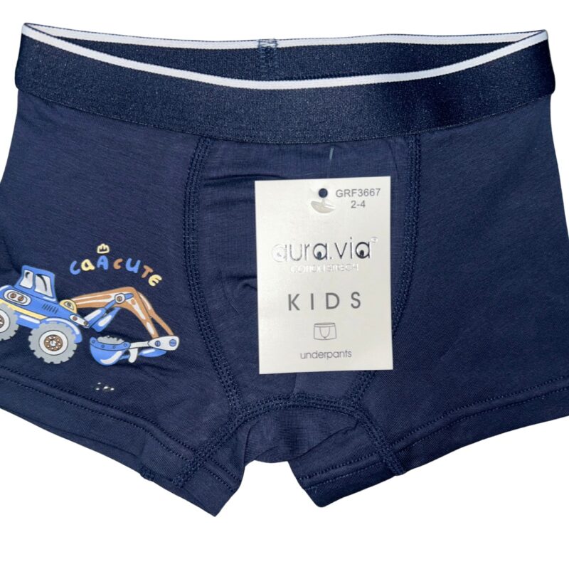 Bokserki chłopięce Aura.Via KIDS bawełna 95% rozmiar 2-4/4-6/6-8 Lat