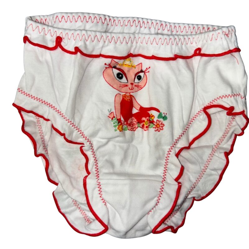 Majtki dziewczęce 3 sztuki figi DC Polo GIRL 8-10/10-12 Lata — zdjęcie 6