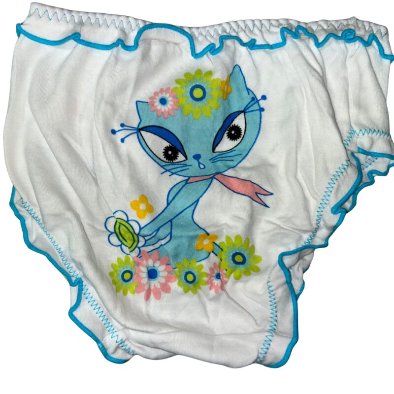 Majtki dziewczęce 3 sztuki figi DC Polo GIRL 8-10/10-12 Lata — zdjęcie 5