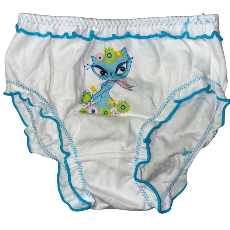 Majtki dziewczęce 3 sztuki figi DC Polo GIRL 8-10/10-12 Lata — zdjęcie 4