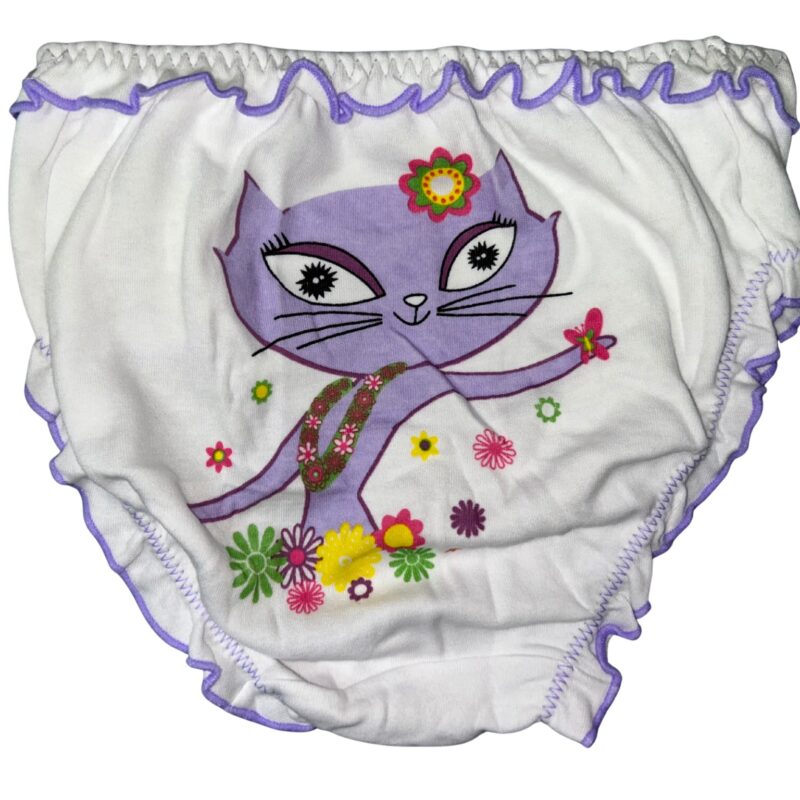 Majtki dziewczęce 3 sztuki figi DC Polo GIRL 8-10/10-12 Lata — zdjęcie 3