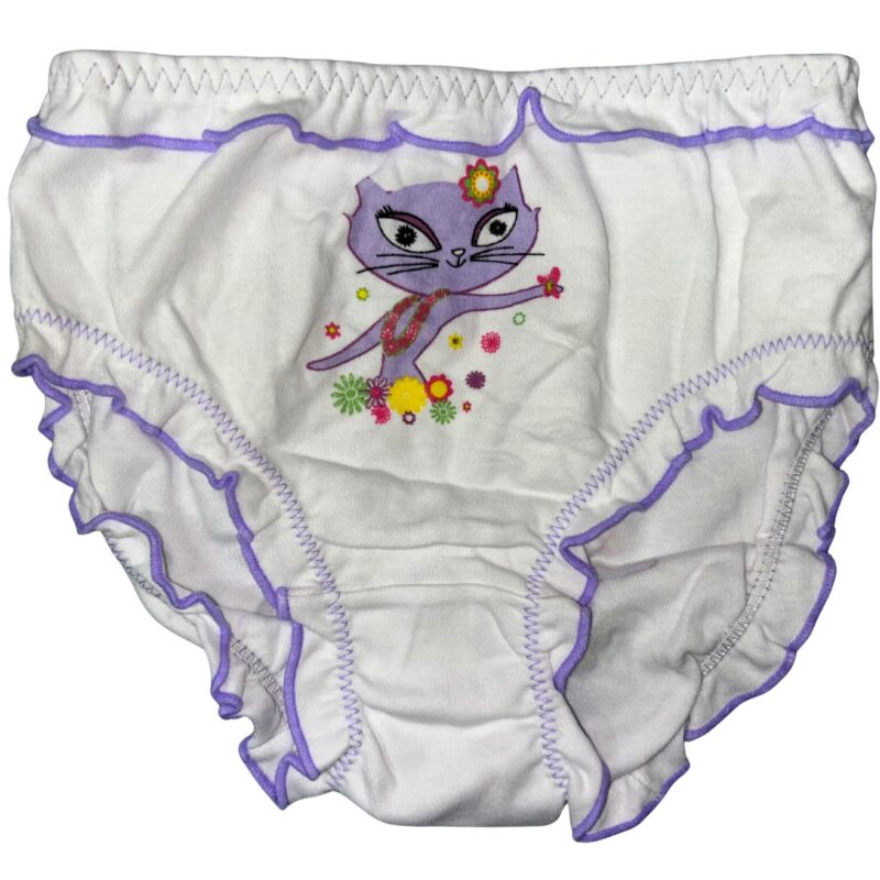 Majtki dziewczęce 3 sztuki figi DC Polo GIRL 8-10/10-12 Lata — zdjęcie 2