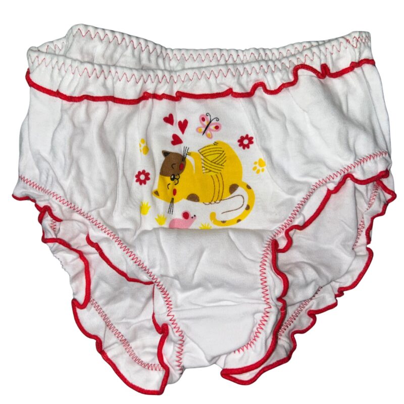 Majtki dziewczęce 3 sztuki figi DC Polo GIRL 10-12 Lata — zdjęcie 6