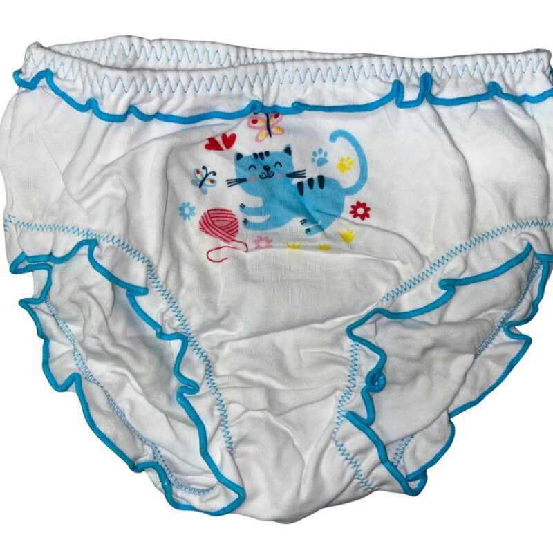 Majtki dziewczęce 3 sztuki figi DC Polo GIRL 10-12 Lata — zdjęcie 2