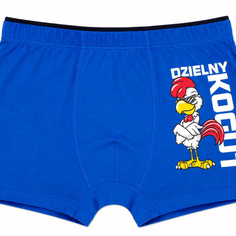 Bokserki Męskie bawełniane Majtki C+3 rozmiar M/L/XL/2XL