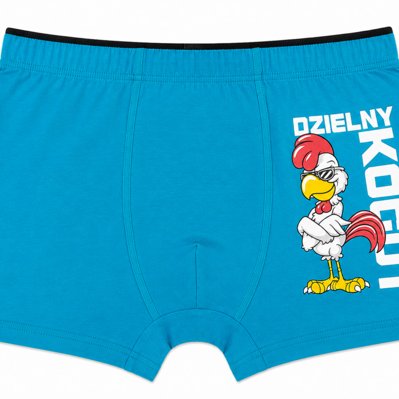 Bokserki Męskie bawełniane Majtki C+3 rozmiar M/L/XL/2XL
