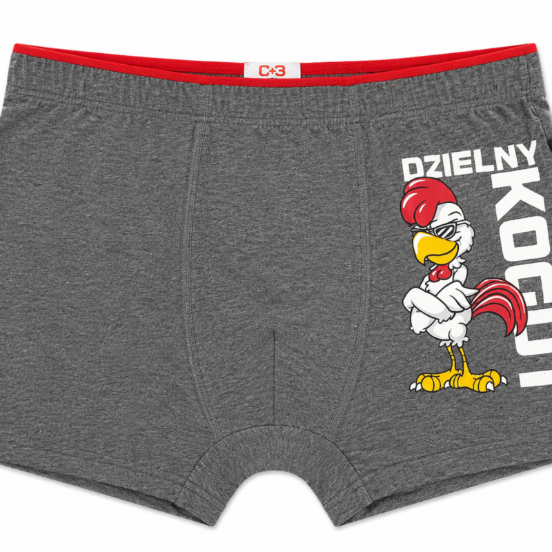 Bokserki Męskie bawełniane Majtki C+3 rozmiar M/L/XL/2XL