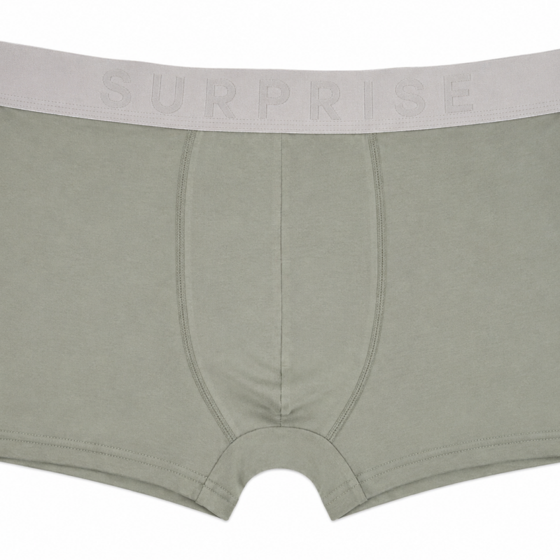 Bawełniane bokserki Aura.via classic fit rozmiary L-3XL